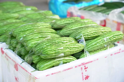 日销蔬菜超1000吨，港北农产品物流中心 城郊的“菜篮子”，托起万家烟火