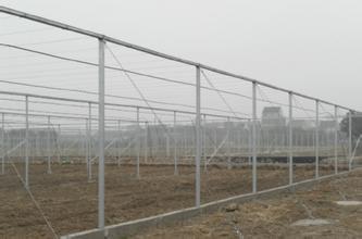 海城6分大棚钢管价格解析与天津市信通达钢管制造厂家批发详情