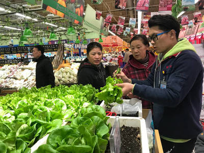 从工厂到指尖 无人采摘零售柜员机引领活体蔬菜消费新潮流