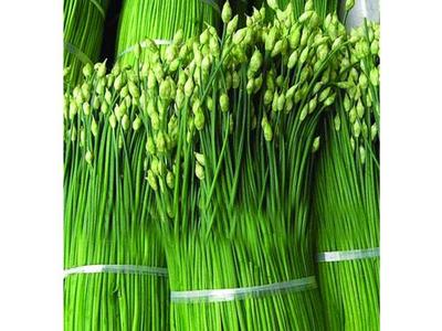 优质蔬菜配送服务 便捷、安全、高效的选择